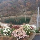 둥지캠핑장 이미지