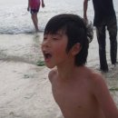 제주평강 이미지