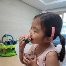다린마카롱 이미지