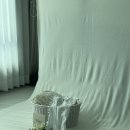[대전 본아트 촬영] 만족해서 남겨보는 ‘사월스냅‘ 내 돈 내산 후기