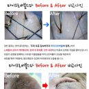 살롱드하츠 이미지