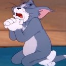 용신72 | 요나고 근교 히노군 체험 여행 2일차｜복권 당첨 되기로 유명한 카모치신사 후기 (+참배방법/오미쿠지)