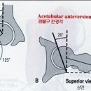 코스트짐