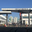 수원시농산물도매시장 이미지