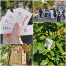 고려 대호 태권도 이미지