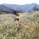 제2종합관광안내소 이미지