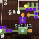 금화여관 이미지