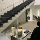 강아지는 내 운명 이미지