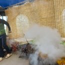 성광농장 이미지