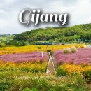 광산마을회관 | 기장 광산마을 핑크뮬리 팜파스 핫플 기장 여행 드라이브 코스