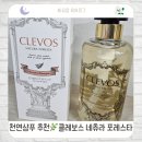포레스타 | 천연샴푸 추천🌿 | 클레보스 네츄라 포레스타 약산성샴푸 후기