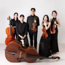 제9회 시립예술단 비대면 정기공연 | 루체현악앙상블 연혁 │ Story of Luce String Ensemble