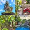 산방산 탄산온천 펜션 | 제주 산방산탄산온천 옷 수영복 펜션 국내 온천 추천