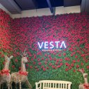 베스타뷔페 | [대전 프리미엄 뷔페] 베스타 “내돈내산” 후기