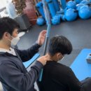 프로포션핏 이미지