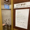제이드 스킨 & 바디 이미지
