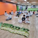 한국체대 신일태권도장 이미지