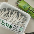 장승포농협 하나로마트 아주점 이미지