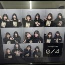 용일카 이미지