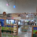 다솜어린이집 | 김천실내아이와가볼만한곳 김천실내동물원 다양한체험이가능한 김천실내놀이터 다솜생태관 재방문 솔직후기