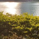 석촌안경박사 | 송리단길 공방 쉬고싶은나무 내 손으로 만드는 원목 안경 원데이클래스 후기