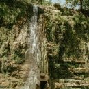 예스행정사사무소 이미지