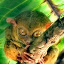 도깨비 당구장 이미지