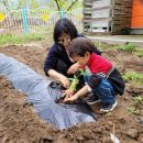 서촌초교 병설유치원 이미지