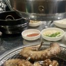 늘방실꼼장어