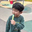 키즈 | 키즈 오메가3 추천, 8살 남아 선물 지니어스뉴 ~키즈 후기