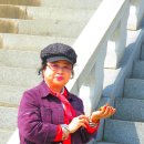 ♣★헤브랜드 동영상 금잉어 청암 편집 ★♣♣★보령탬 성주 헤브랜드 동영상 금잉어 왕자모임 청암 편집 ★♣ 이미지