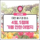 [대전광역시] 4.5월에 가볼만한 여행지 이미지