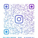 동물보육원 김포지부 이미지