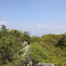 정선군 도사곡샘터 네이버블로그
