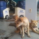 청라트럭서비스 이미지