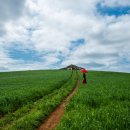 천북농장 이미지