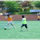 송탄 경희대 태권도 이미지