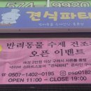 견식파티 이미지