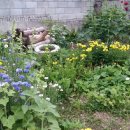 연임농장` 이미지