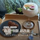 충주게임랜드 | 충주 카페 추천 디저트가 맛있는 서리꽃 애견동반카페