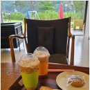 팔봉수피아 | 홍천 애견 동반 카페, 팔봉수피아 카페에서의 감성적인 하루!