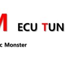 다가스 모터스 이미지