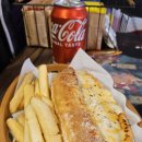 디지스도그 이미지