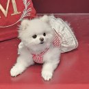 신반포로45길 71 (1) | 드디어 <씨뮤 산타즈의 선물 공장> 팝업스토어 다녀옴🪲👢💃(+사틴 김지우배우님)