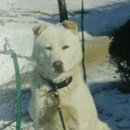 김만수농장 이미지