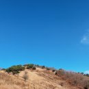 정선수산