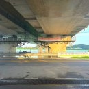 장안대교(밑) 이미지