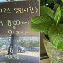 더파구스 이미지