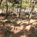 풍암한방병원 이미지