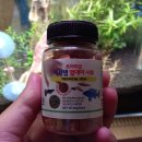 테트라수족관